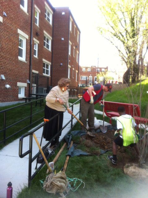 Treeplanting 